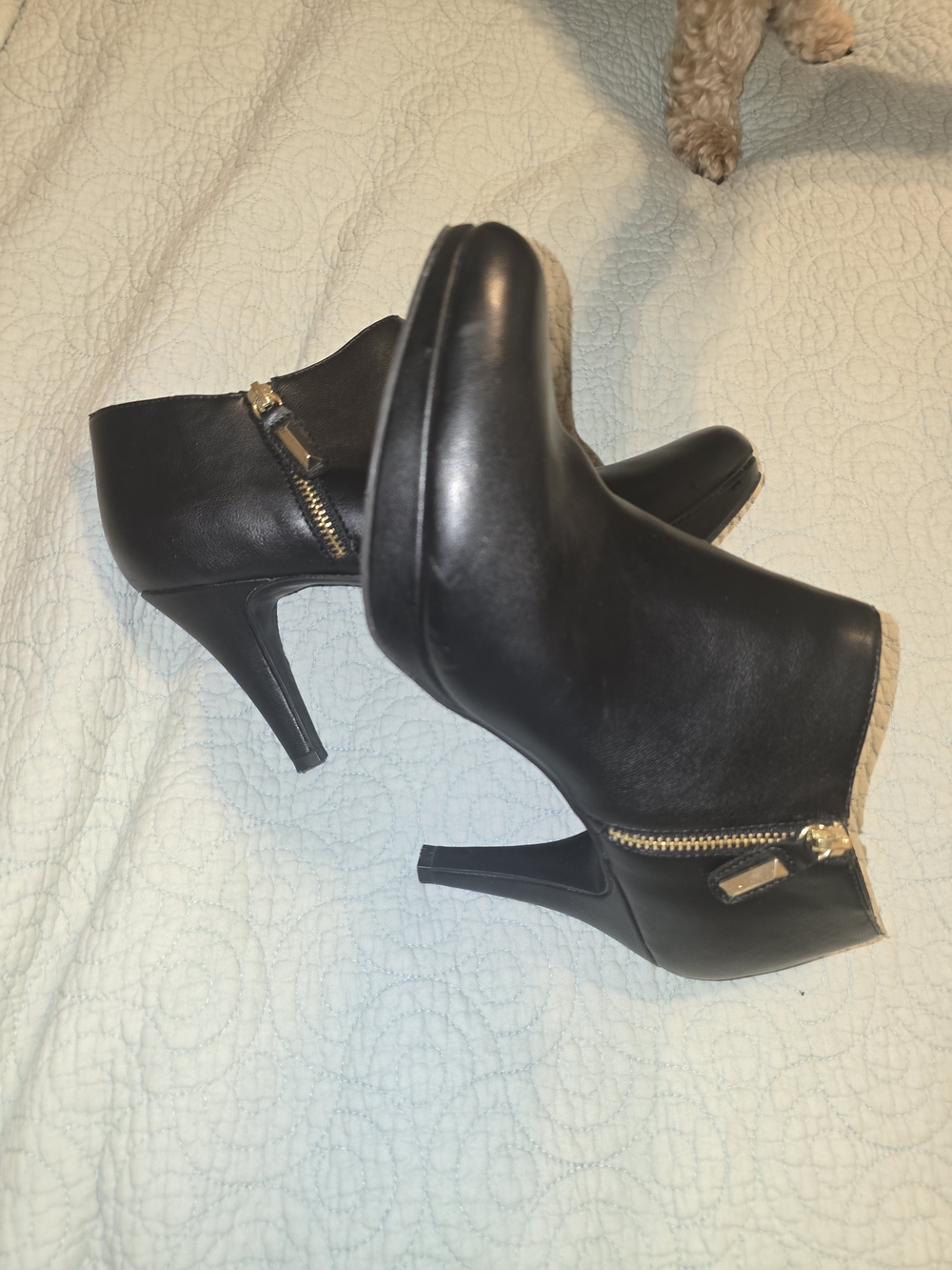 Liz Claiborne Black Leather High-Heel Ankle Booties with Gold Zipper
